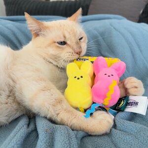 Peeps Cat Kickers Kitty Toys • Set of 2 • NWT • Plushie for cats